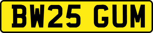 BW25GUM