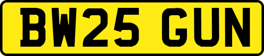 BW25GUN