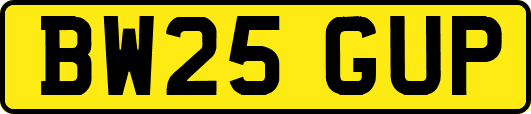 BW25GUP