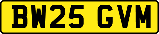 BW25GVM