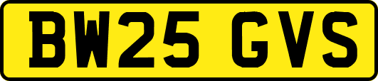 BW25GVS