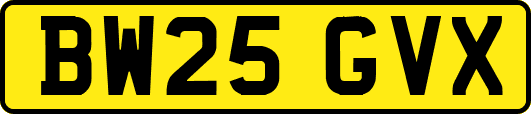 BW25GVX