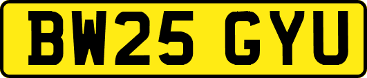 BW25GYU
