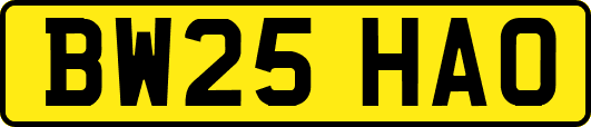 BW25HAO