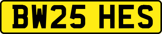 BW25HES
