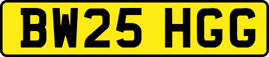 BW25HGG