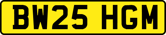 BW25HGM