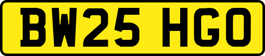 BW25HGO