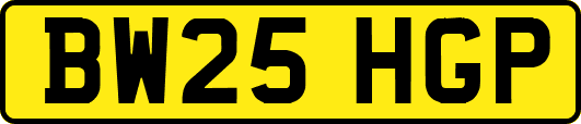 BW25HGP