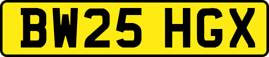 BW25HGX