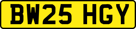 BW25HGY