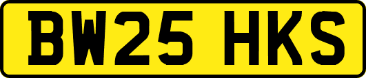 BW25HKS