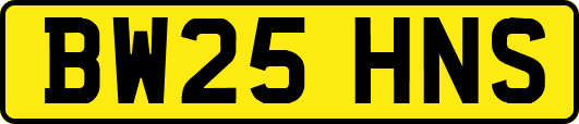 BW25HNS
