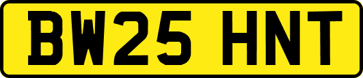 BW25HNT