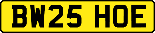 BW25HOE
