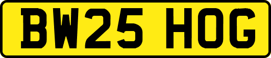 BW25HOG