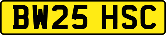 BW25HSC