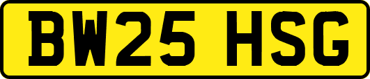 BW25HSG