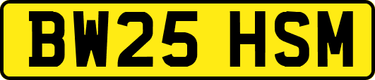 BW25HSM