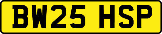 BW25HSP