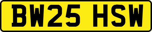 BW25HSW