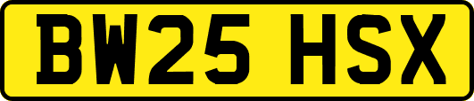 BW25HSX