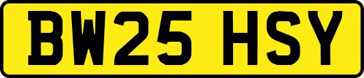 BW25HSY