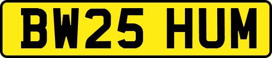 BW25HUM