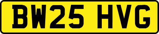 BW25HVG