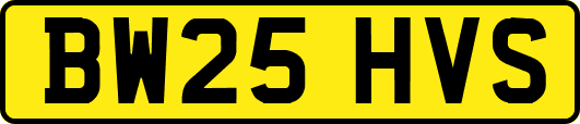 BW25HVS