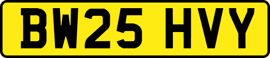 BW25HVY