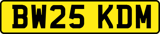 BW25KDM