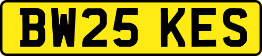 BW25KES