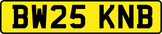 BW25KNB