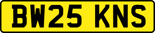 BW25KNS