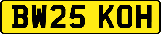 BW25KOH