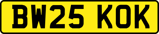 BW25KOK