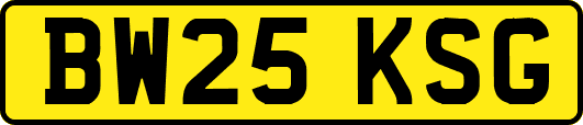 BW25KSG