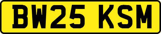 BW25KSM