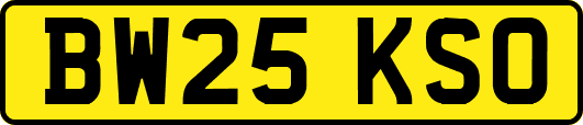 BW25KSO