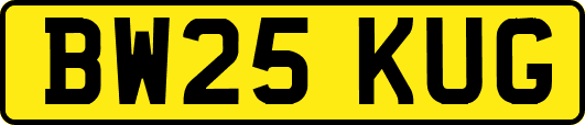 BW25KUG