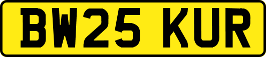 BW25KUR
