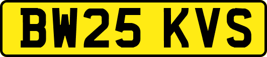 BW25KVS