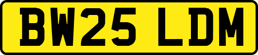 BW25LDM