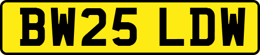 BW25LDW