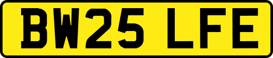 BW25LFE