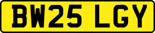BW25LGY