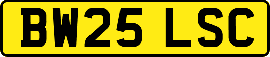 BW25LSC