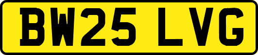 BW25LVG