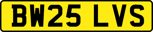 BW25LVS